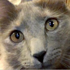 Meet your Posher, Andy